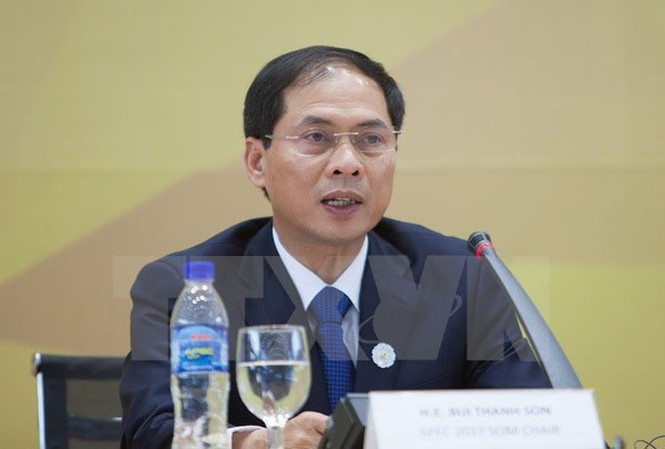 Thông báo kết quả Tuần lễ Cấp cao APEC tới Cơ quan đại diện nước ngoài Thứ trưởng Thường trực Bộ Ngoại giao Bùi Thanh Sơn. (Ảnh: TTXVN).