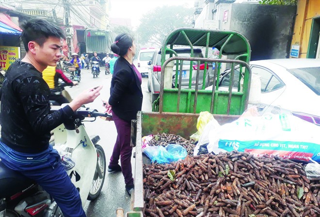 Bản tin 14H: Ông Nguyễn Văn Tiến khai mua 7 tấn phế liệu quốc phòng Những viên đạn được thu gom sau vụ nổ ở Bắc Ninh. Ảnh: Nguyễn Hoàn.