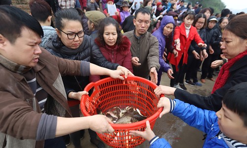 Bản tin 20H: Hà Nội phóng sinh hơn 5 tấn cá xuống sông Hồng Hơn 5 tấn cá được phóng sinh xuống sông Hồng. Ảnh: VnExpress.
