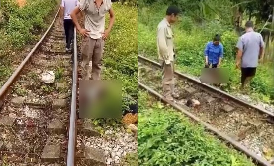 Bản tin 20H: Người đàn ông bị tàu hỏa cán lìa đầu Hiện trường vụ tai nạn.