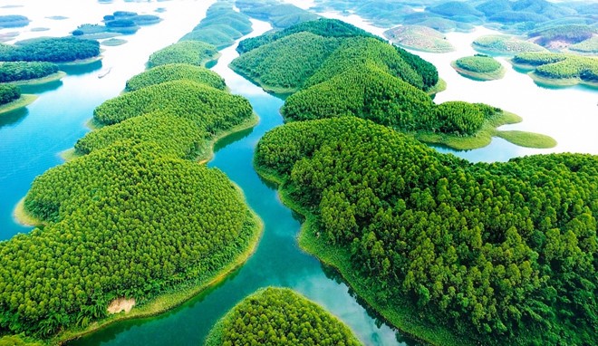 Đại gia Lê Phước Vũ dừng siêu dự án nghỉ dưỡng nghìn tỷ Dự án bất động sản nghỉ dưỡng nghìn tỷ của Hoa Sen nằm tại khu vực đầm Vân Hội (Yên Bái) đã phải giải thể và dừng hoạt động.