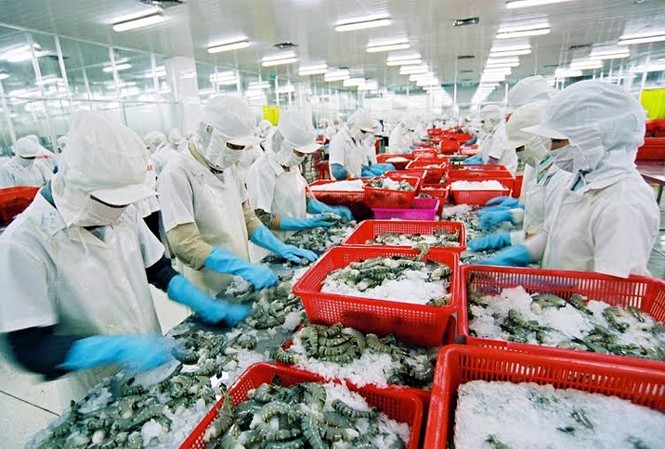 Mỹ tăng thuế chống bán phá giá đối với tôm Việt Nam Trong 6 tháng đầu năm, tổng giá trị xuất khẩu tôm Việt Nam đạt 1,56 tỷ USD, tăng gần 15% so với cùng kỳ năm ngoái.