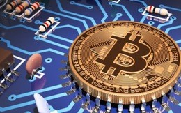 Bitcoin khuấy đảo thị trường tiền ảo lọt top 10 sự kiện ICT Bitcoin khuấy đảo thị trường tiền ảo tại Việt Nam được xếp vị trí thứ 6 trong tổng số 10 sự kiện ICT của năm 2017