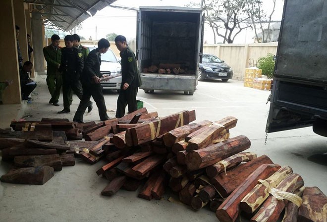 1.530 kg gỗ quý 'cưỡi' máy bay từ Sài Gòn ra Hà Nội Tang vật của vụ việc