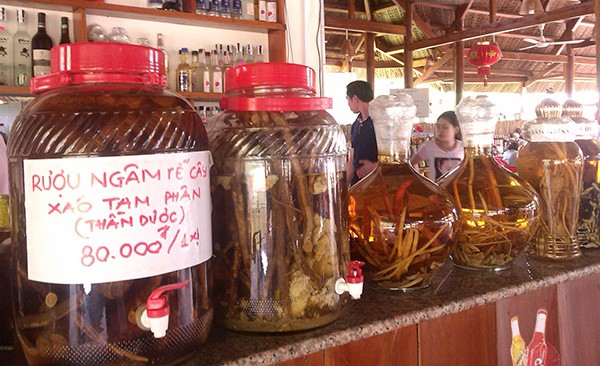 Vén màn thú chơi dược tửu của đại gia Sài thành Lấy gì để chứng minh đây là rượu ngâm xáo tam phân?