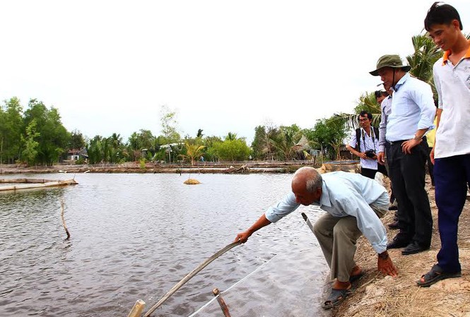 Gần 81.500 ha tôm nuôi bị thiệt hại do hạn, mặn Thứ trưởng Vũ Văn Tám kiểm tra độ mặn ao tôm ở U Minh (Cà Mau)