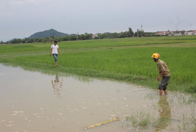 Hai học sinh tiểu học chết đuối thương tâm sau lễ khai giảng Hiện trường vụ hai anh em Quân và Phương chết đuối sáng nay.