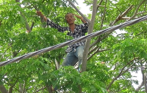 Nam thanh niên leo lên cây la hét suốt 5 tiếng đồng hồ Nam thanh niên la hét suốt 5 giờ giữa phố.