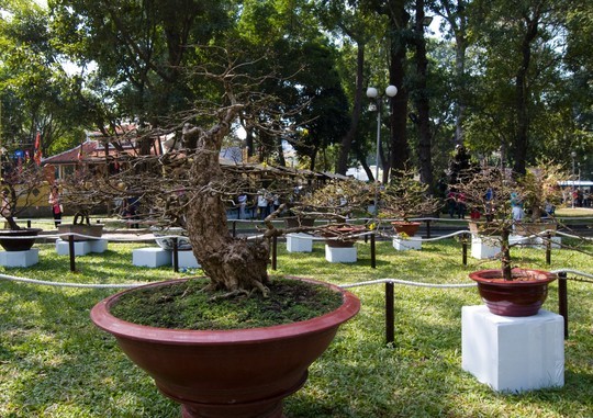 Đại gia miền Tây đem gần 3 tỉ đồng “đãi” dân Sài Gòn Đại gia miền Tây đem gần 3 tỉ đồng “đãi” dân Sài Gòn