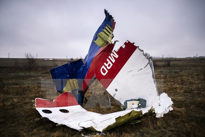 Bản tin 14H: Nga bị gạt ra khỏi cuộc điều tra MH17 Một phần xác máy bay MH17 ở làng Grabovo, cách Donetsk, Ukraine khoảng 80km về phía đông ngày 10/11/2014. (Nguồn: AFP/TTXVN)