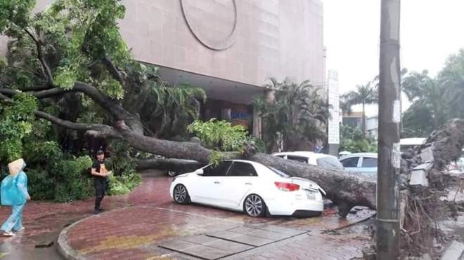 Nhiều tuyến phố Hà Nội ngập sâu đến 0,4 mét Cây đổ đè bẹp ô tô trên phố Hai Bà Trưng trưa nay. Ảnh Nguyễn Tuân