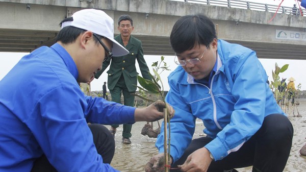 Trung ương Đoàn phát động Tết trồng cây Trung ương Đoàn phát động Tết trồng cây