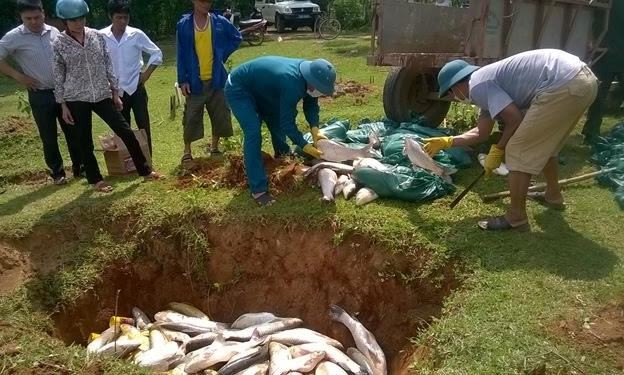 Cá nuôi trên sông Bưởi tiếp tục chết Đào hố chôn cá chết hôm 15/5.
