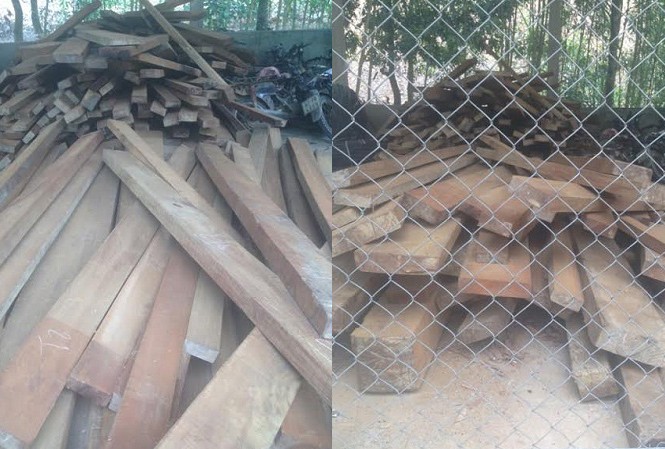 Người nhà chủ tịch xã tàng trữ gỗ lậu Nhiều gỗ lậu thành phẩm được phát hiện tàng trữ tại xưởng mộc của người nhà chủ tịch xã Thượng Quảng, Nam Đông.