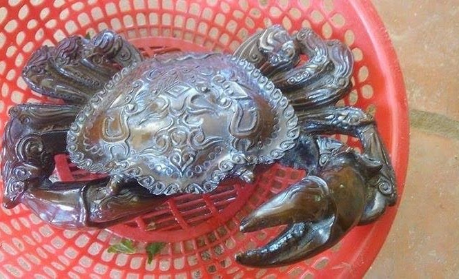 Sự thật giật mình chuyện hô biến cua đồng thành cua thần Hình ảnh con cua được người tên H chuyển cho phóng viên.