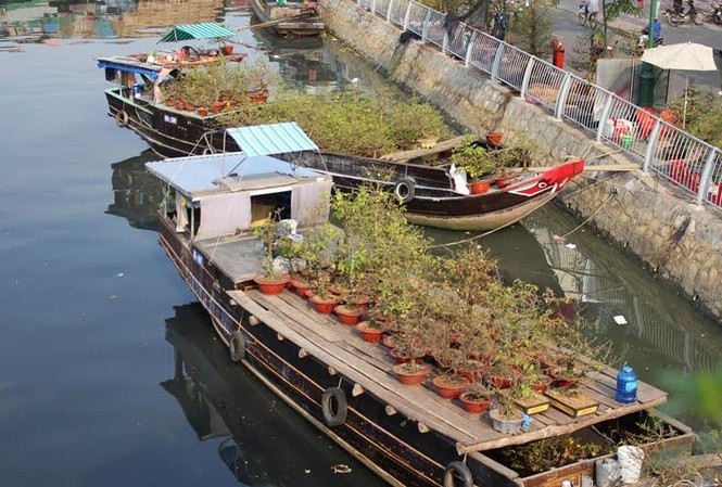 Đìu hiu chợ hoa tết trên sông lâu đời nhất Sài Gòn Nằm ven kênh Tàu Hủ, chợ hoa bến Bình Đông được xem là chợ hoa trên sông lâu đời nhất Sài Gòn. Đây là nơi tập kết của phần lớn thuyền hoa ở các tỉnh miền Tây.