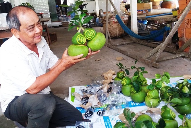2,5 triệu đồng một cặp bưởi hồ lô dịp Tết ở miền Tây Khách hàng thích thú với sản phẩm của ông Võ Trung Thành.