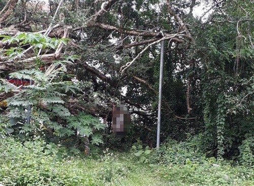 Bản tin 14H: Bị đổ tội trộm điện thoại, lái xe ba gác treo cổ tự tử Nơi người đàn ông treo cổ. Ảnh: VTC News