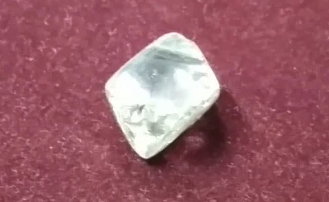 Ba đời thay nhau đào được viên kim cương 8 tỷ đồng Viên kim cương lớn 44,59 carat cũng là viên kim cương lớn nhất được đào tại Panna từ năm 1961.