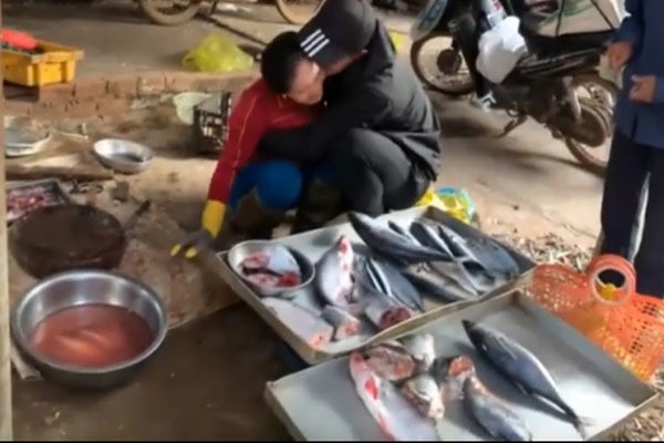 Clip 'chàng trai Đăk Lăk gặp mẹ bán cá sau 3 năm đi Nhật' hút triệu view Clip 'chàng trai Đăk Lăk gặp mẹ bán cá sau 3 năm đi Nhật' hút triệu view