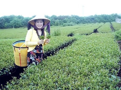 Bộ Công an vào cuộc vụ nữ doanh nhân chết bất thường Nữ doanh nhân Hà Linh.