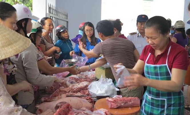 Thanh niên Bình Định ra quân 'giải cứu' thịt heo Thanh niên Bình Định ra quân 'giải cứu' thịt heo