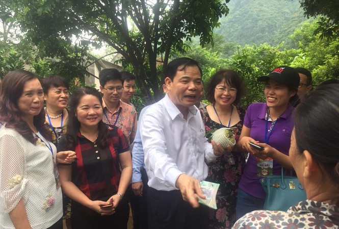 Bộ trưởng Nông nghiệp đến tận vườn mua na của người dân Bộ trưởng Nguyễn Xuân Cường mua na của người dân địa phương. - Ảnh: Hoàng Dự