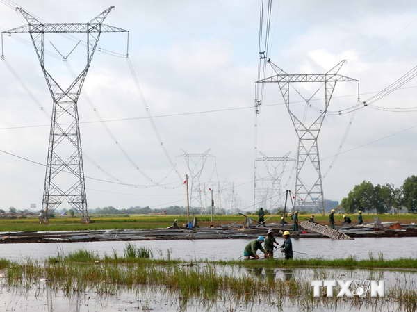 Đóng điện, đưa vào vận hành đường dây 500 kV Phú Lâm-Ô Môn Ảnh minh họa. (Nguồn: TTXVN)