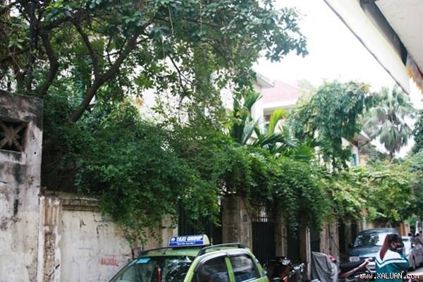 Cận cảnh biệt thự cựu Chủ tịch Hà Nội thuê với giá bằng 10 bát phở ảnh minh họa