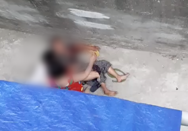 Cháu gái bất lực nhìn bà ngoại bị chó nhà 'nổi điên' lao vào cắn xé Nạn nhân bị con chó lao vào cắn, xé rách quần áo, nằm quằn quại dưới giữa đường (Ảnh chụp màn hình).