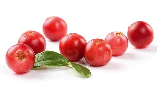Quả nam việt quất chống viêm đường tiết niệu Ảnh minh họa