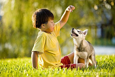 Cách xử trí khẩn cấp khi bị chó mèo cắn Ảnh minh họa