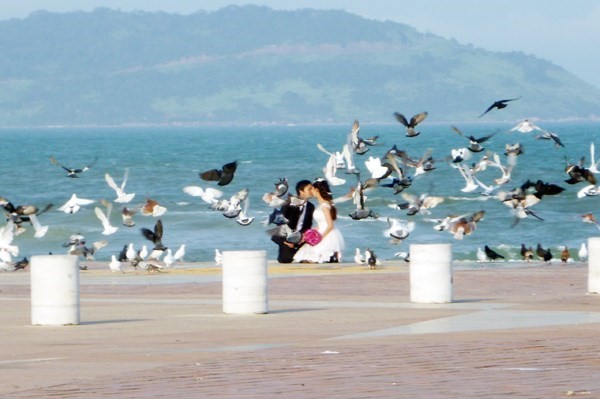 Hà Nội sắp thả chim bồ câu tại Vườn hoa Lý Thái Tổ Hà Nội sắp thả chim bồ câu tại Vườn hoa Lý Thái Tổ