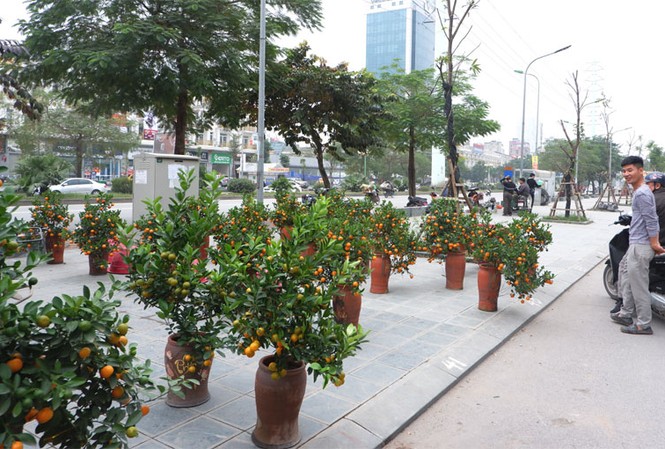 Hà Nội dừng đào đường, tổ chức 64 chợ hoa Xuân Tết Thời điểm này, một số chợ hoa Xuân đã được tổ chức
