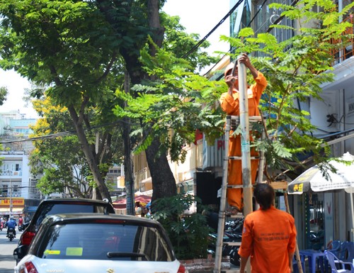 Hai đường bị cấm dừng xe sau tin nhắn gửi ông Đinh La Thăng Biển báo cấm xe khách trên 9 chỗ dừng, đổ trên đường Lê Thị Hồng Gấm (quận 1) được gắn ngay sau tin nhắn của người dân đến tân Bí thư Thành ủy Đinh La Thăng. Ảnh: Đ.L