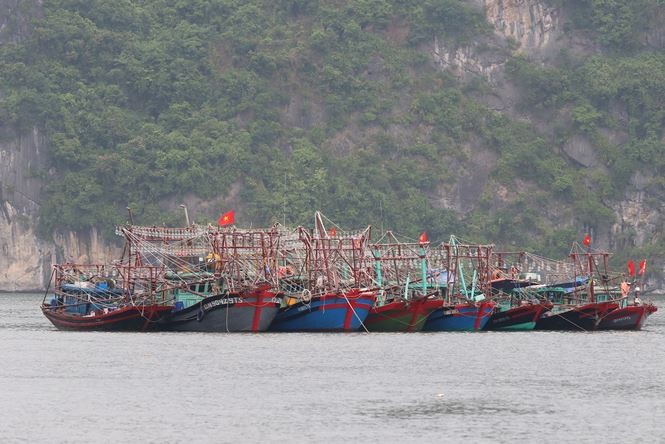 Ứng phó bão số 2, Phó Thủ tướng chỉ đạo sơ tán dân cư ở các vùng nguy hiểm Vị trí và dự báo đường đi của cơn bão số 2