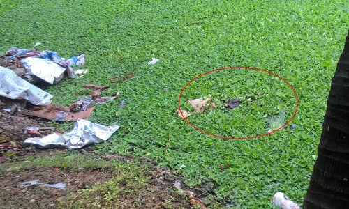 Nghi án một phụ nữ bán rau bị giết, phi tang xác xuống ao? Hiện trường vụ việc