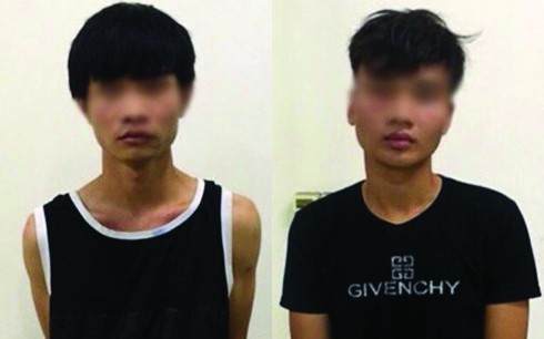 Khởi tố nghi can đột nhập biệt thự của Mỹ Linh để trộm cắp Hai nghi can đột nhập biệt thự của ca sĩ Mỹ Linh để trộm cắp