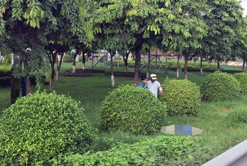 Tình tiết khó tin vụ cô gái trẻ chết bí ẩn ven quốc lộ Thi thể cô gái nằm ven quốc lộ 1