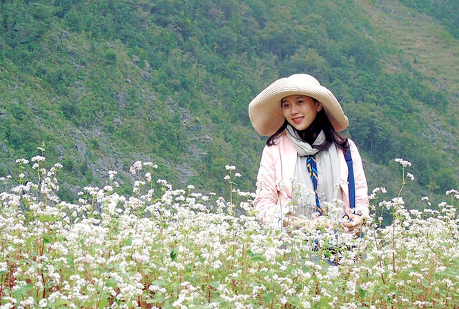 Tam giác mạch nở rộ trên cao nguyên đá Tam giác mạch níu chân du khách đến Hà Giang.