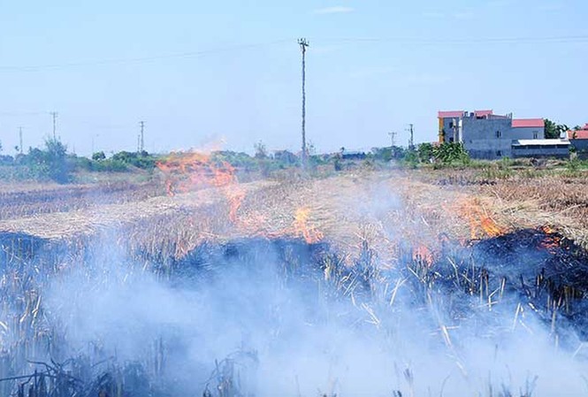 Vì sao không khí ở Sóc Sơn, Ba Vì ô nhiễm hơn nội đô Hà Nội? Đốt rơm rạ gây ra nhiều tác hại xấu với môi trường không khí. Ảnh minh họa.