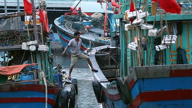 Bão số 3 đi men bờ biển nhiều tỉnh, vùng tác động mở rộng đến Thanh Hóa Ngư dân đưa thuyền vào nơi an toàn để trú bão