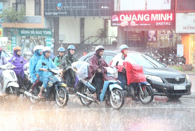 Gió mùa đông bắc gây mưa lớn khắp Bắc Bộ, Trung Bộ Gió mùa đông bắc dự báo gây mưa ở miền Bắc và miền Trung.