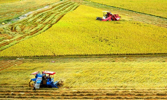 Bộ Tài chính xin miễn, giảm 7.500 tỷ đồng thuế sử dụng đất nông nghiệp Ảnh minh họa. Nguồn: Internet
