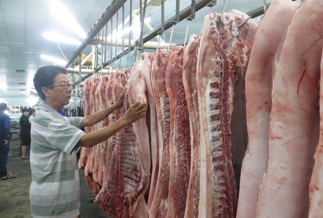 Nguy cơ dịch tả heo Châu Phi vào TPHCM rất cao Mua thịt heo cần chọn nơi uy tín
