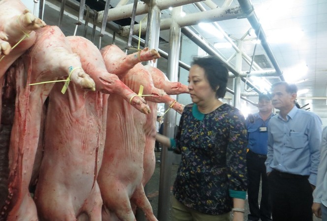 Dịch tả lợn châu Phi: 'Không vì mối lợi nhỏ mà để thiệt hại lớn' Bà Phong Lan kiểm tra heo đưa vê chợ đầu mối
