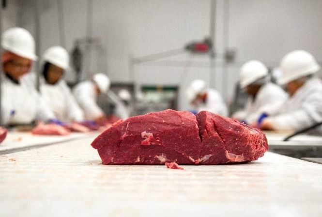 Thịt bò Tây Ban Nha chuẩn bị 'đổ bộ' Việt Nam Thịt bò Tây Ban Nha chuẩn bị 'đổ bộ' Việt Nam