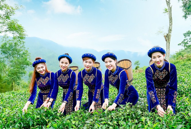Thí sinh iMiss Thăng Long rạng rỡ sắc áo dân tộc bên đồi chè Thí sinh iMiss Thăng Long rạng rỡ sắc áo dân tộc bên đồi chè