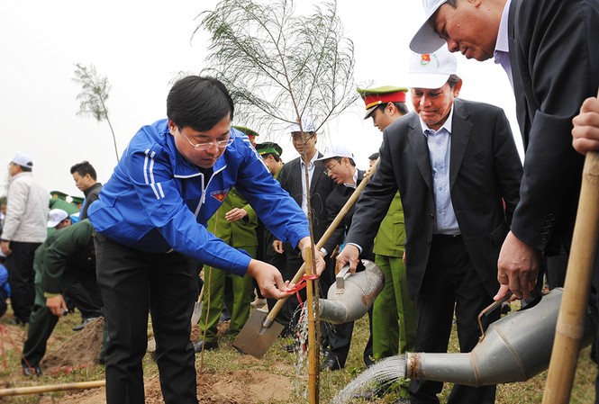 Phát động Tết trồng cây trong thanh niên cả nước Các đại biểu trồng cây phi lao gây rừng phòng hộ
