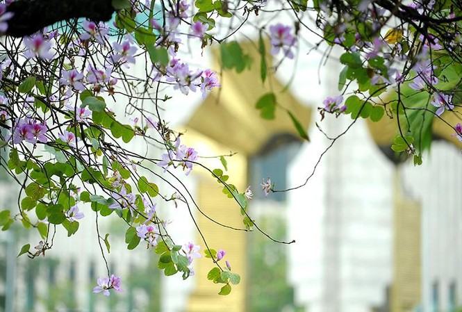 Sắc Ban tô điểm Đài tưởng niệm anh hùng liệt sĩ đường Bắc Sơn Sắc Ban tô điểm Đài tưởng niệm anh hùng liệt sĩ đường Bắc Sơn